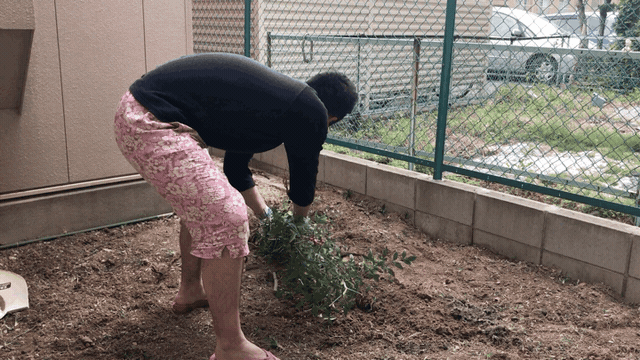 1f756def738e366605d56ce660abed26