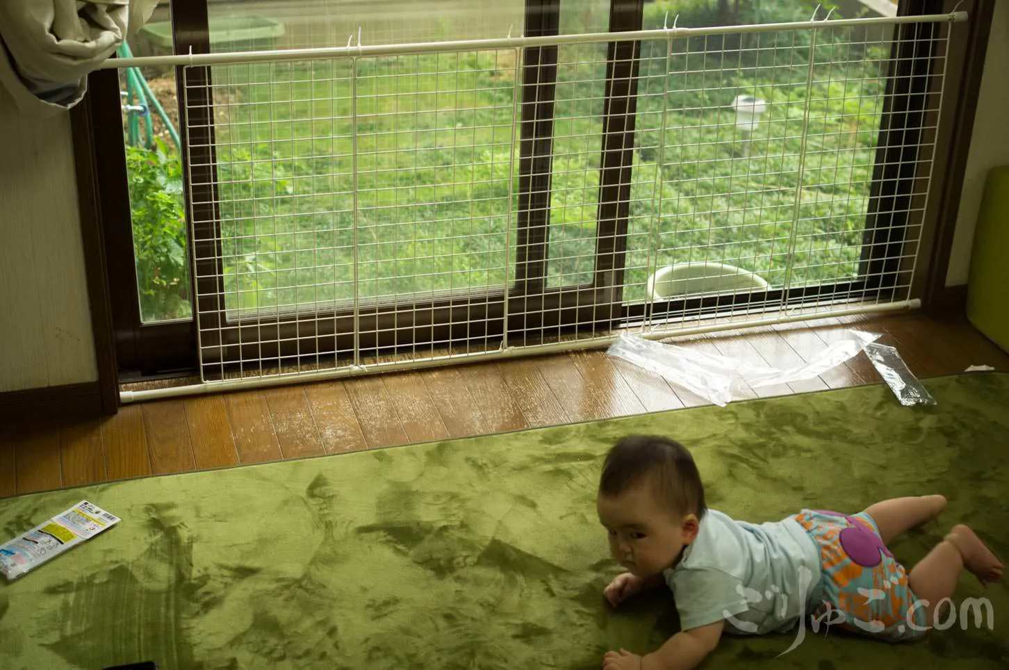 babyfence-3