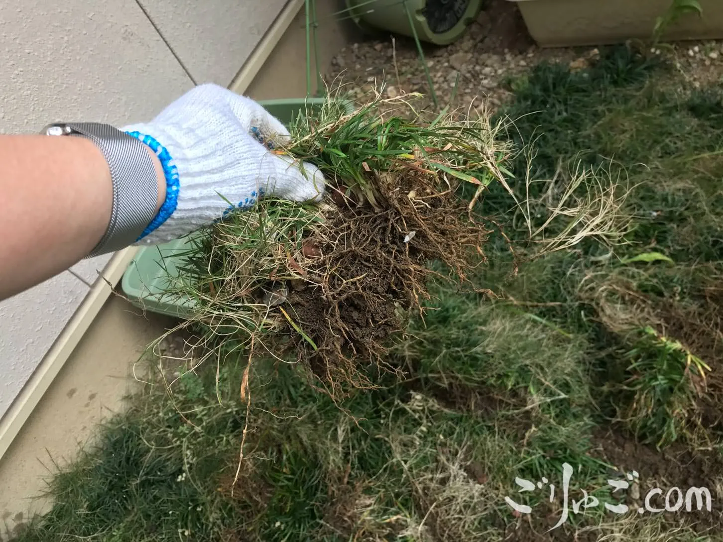 garden_reform-2