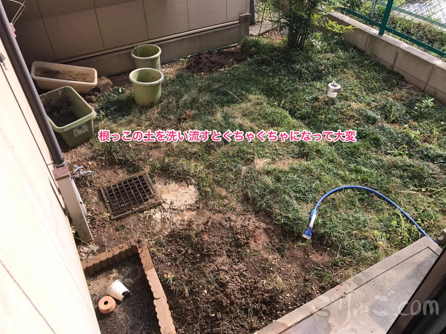 garden_reform-7