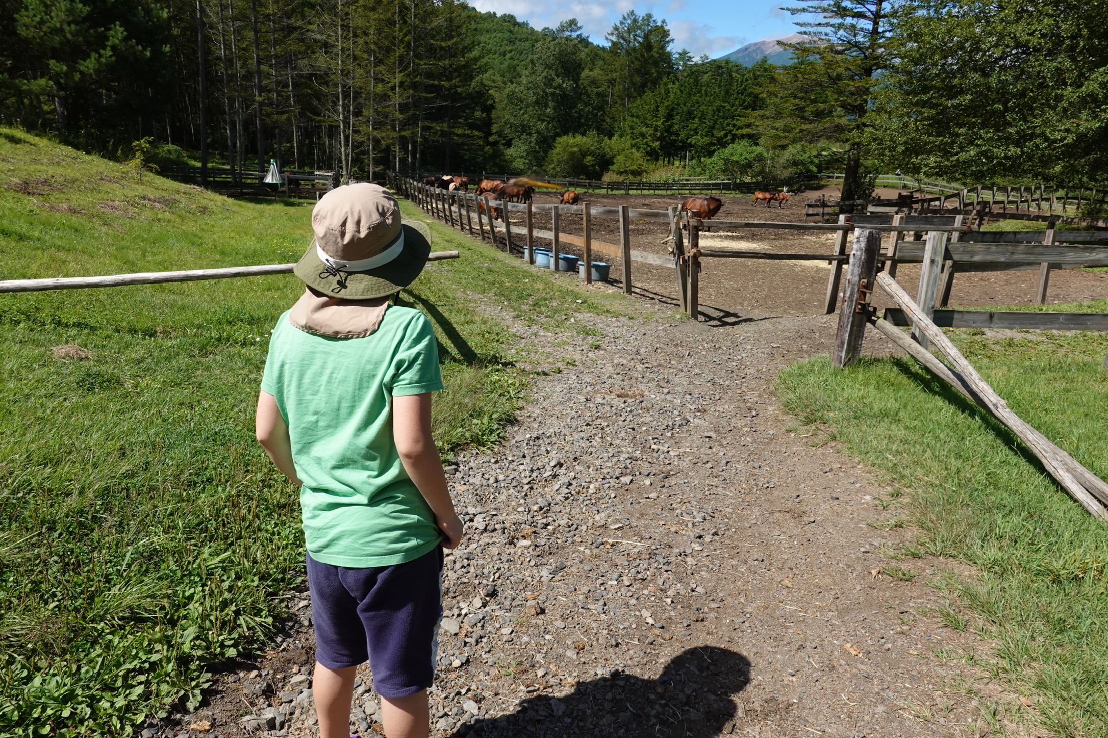 3B41EF32-92C1-4FB2-A8E4-D8E108425170_1_102_o