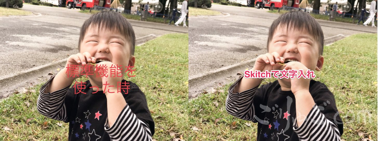 3ac911e3acfca76209a74d2f1be74b9e