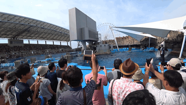 684a3843afcf40387ceef5a7c553c113