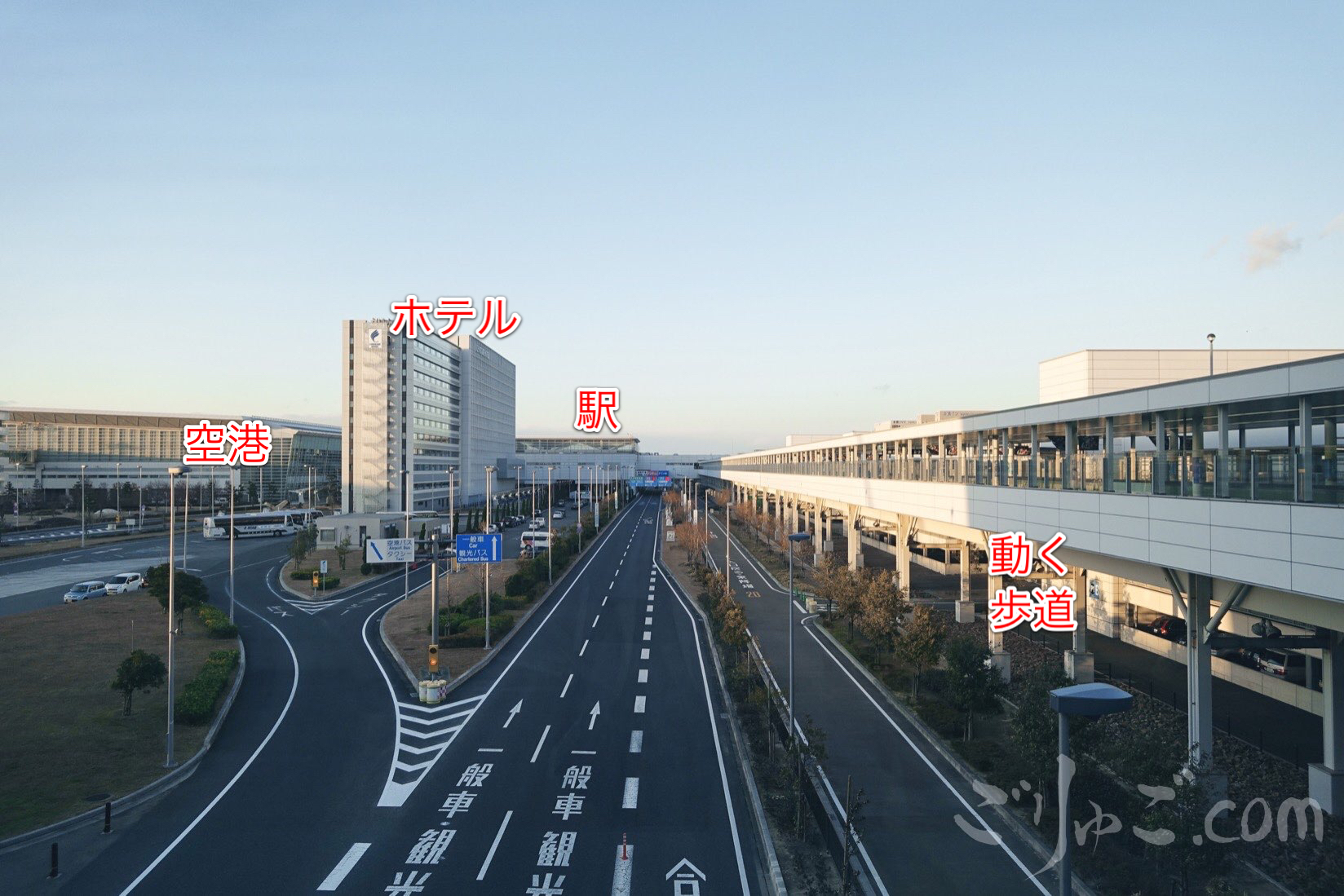 IMG_778C923F2DB6-1-1