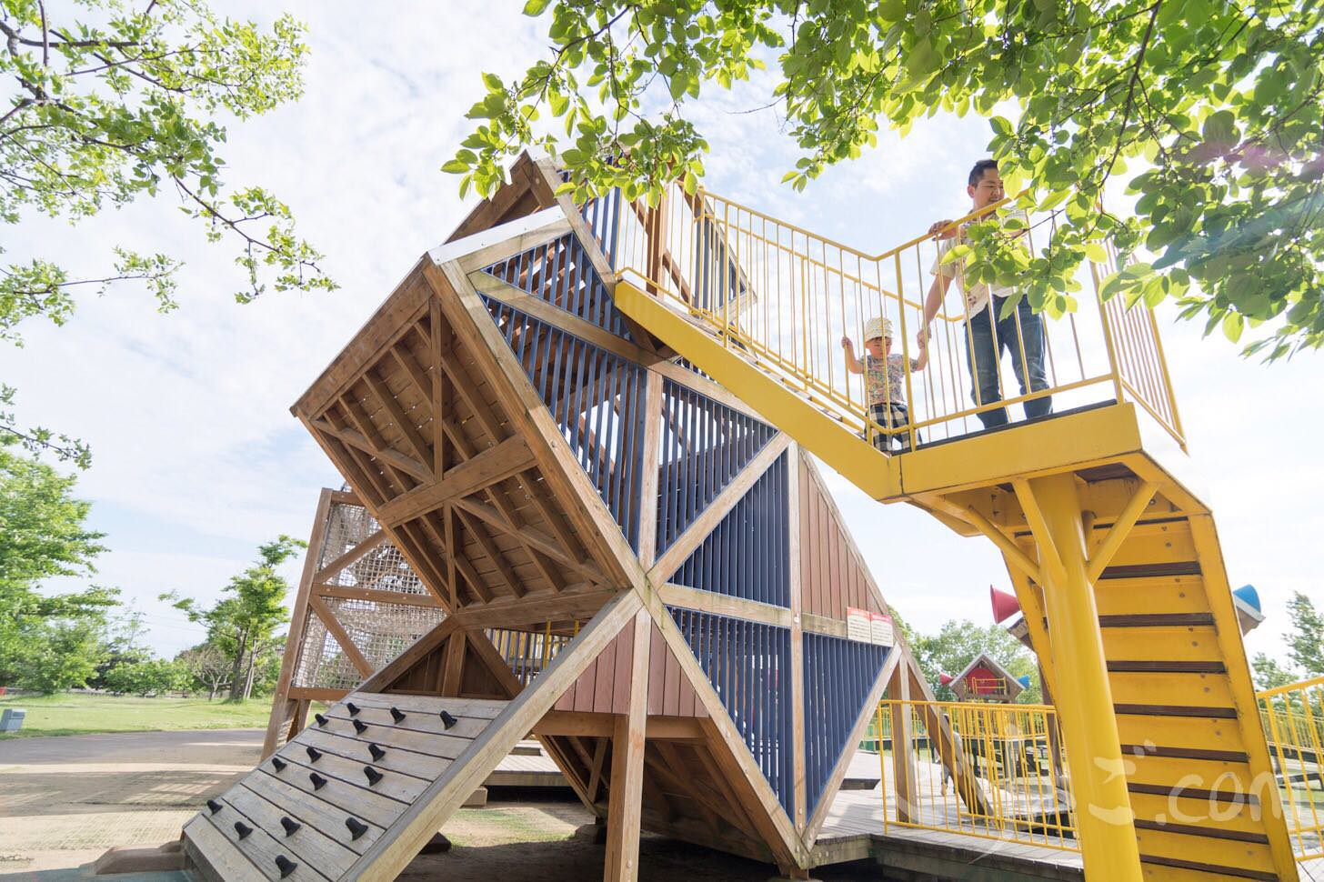 Image-2017-05-19-7-46-2