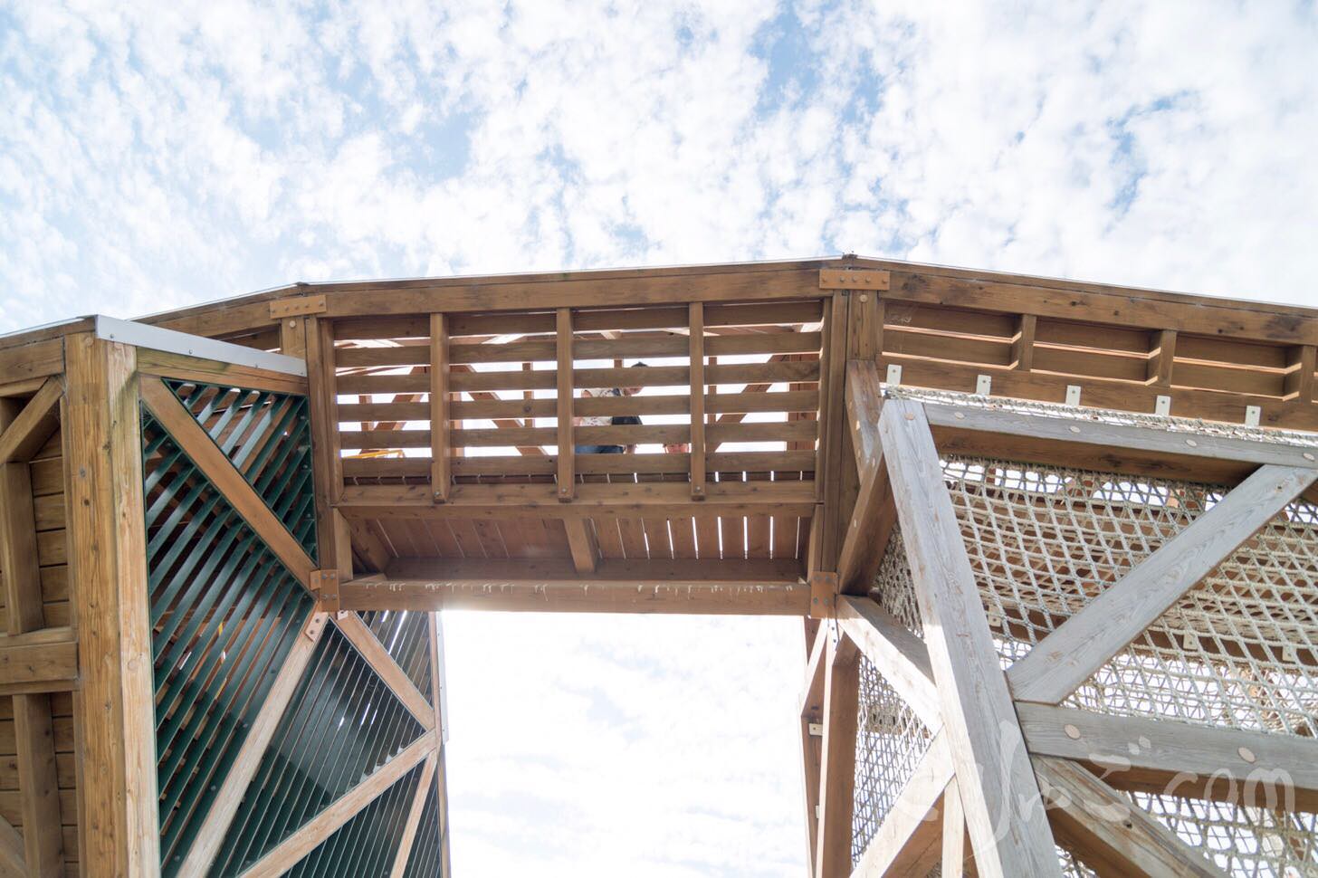 Image-2017-05-19-7-47