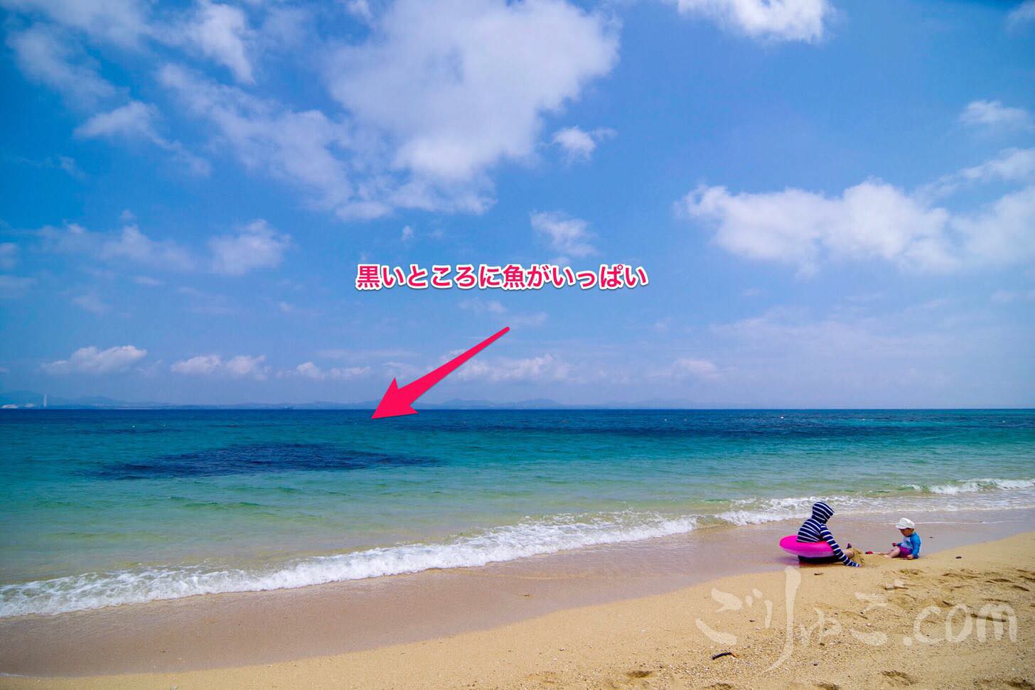 Image-2017-06-21-19-42