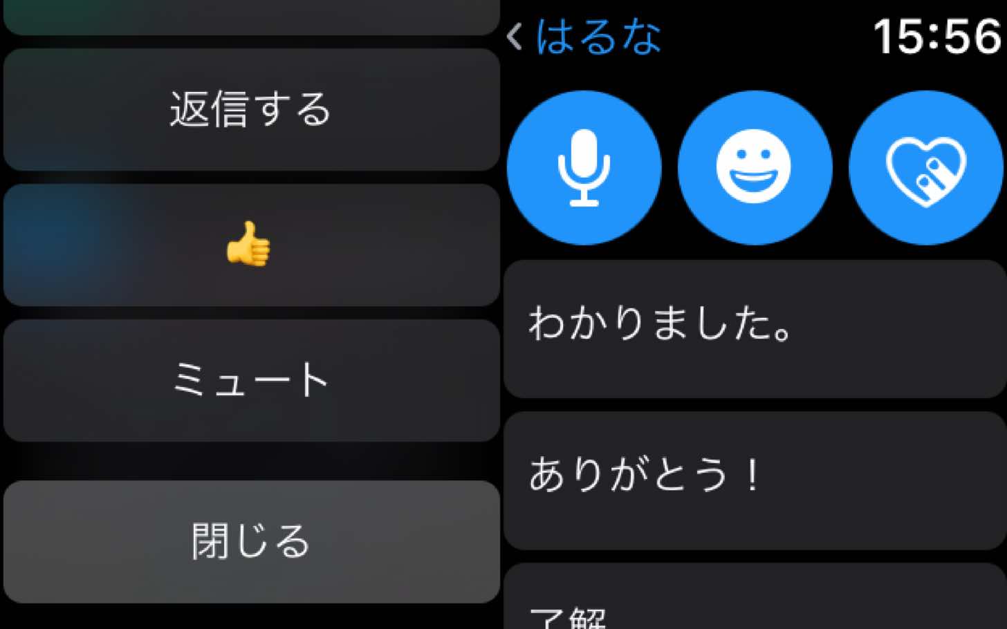 Image-2017-06-24-10-06