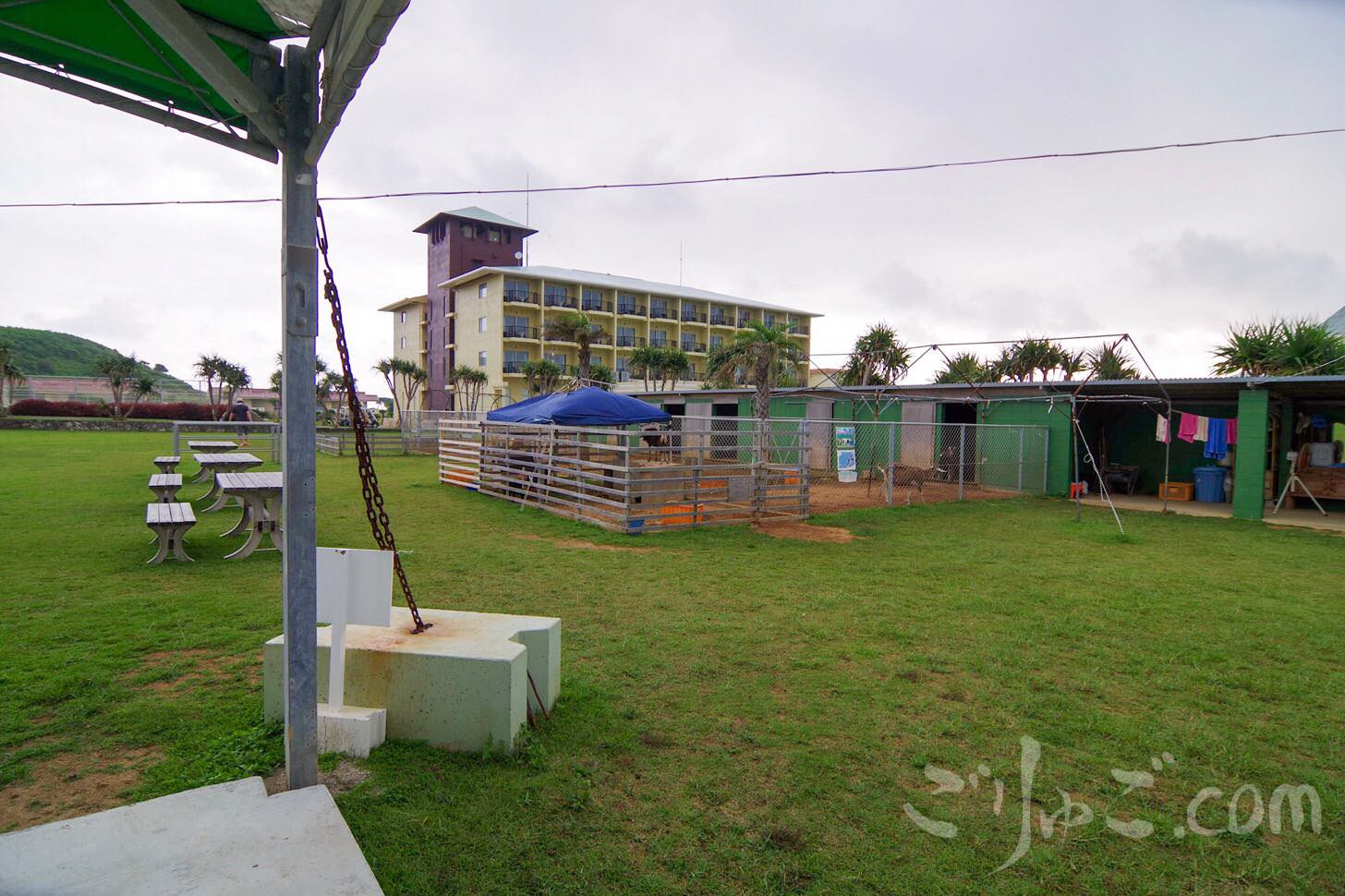 Image-2017-07-04-11-23