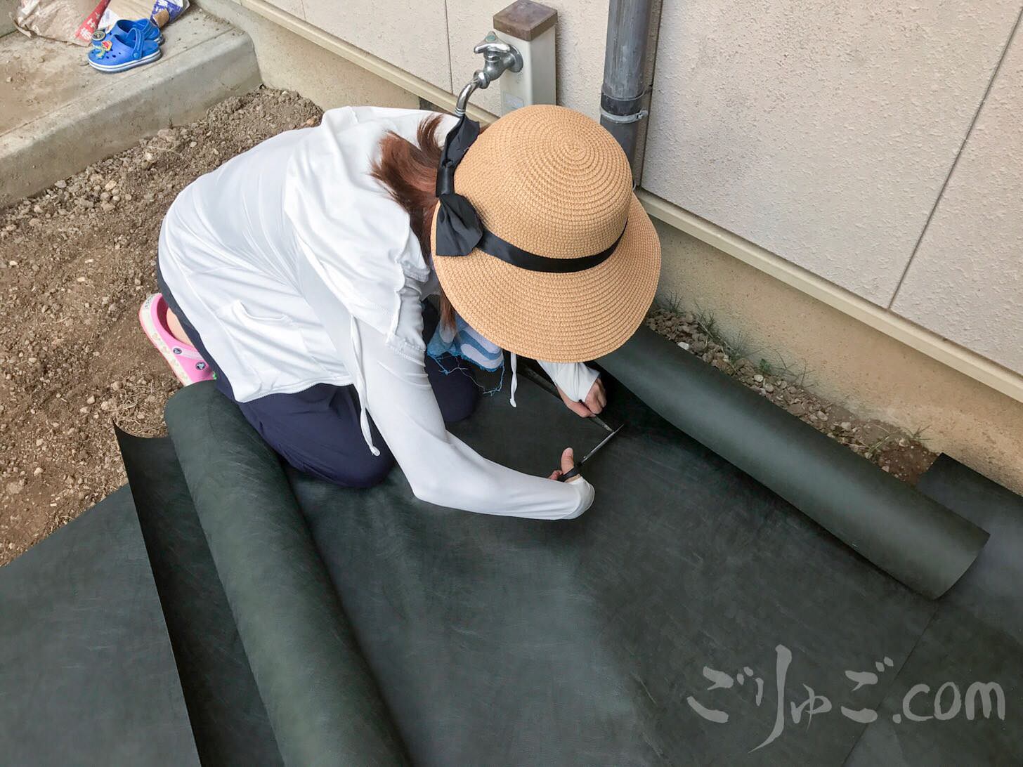 Image-2017-07-16-22-15-1