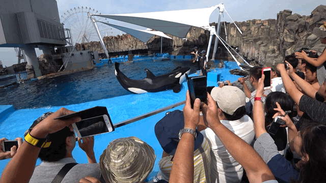 cb23d96903aac4269a6892a46cca6df6