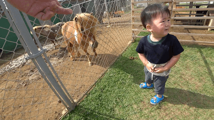 cbe145e45e81a888d5a7a6ad298cf6be