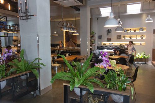 digbys-groccer-and-cafe-01