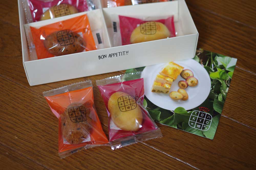 tokyo_station_hatake2