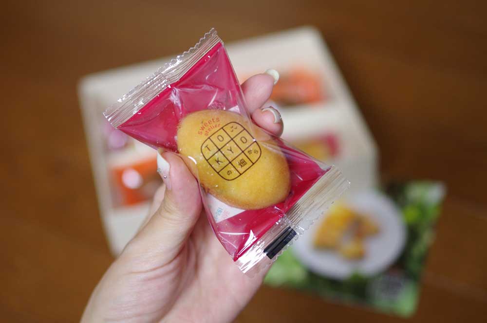 tokyo_station_hatake3